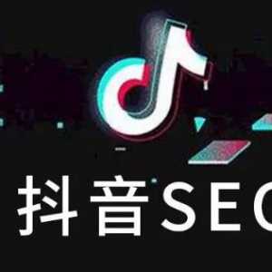 新手实操！抖音seo入门教程